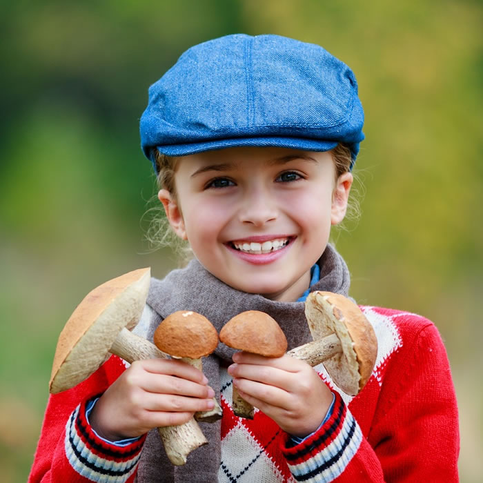 Детские стихи про грибы